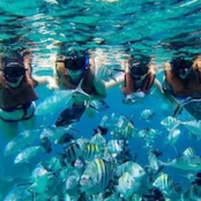 Half Moon Cay Snorkel by Boat