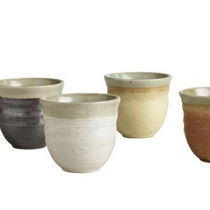 Fuji Rimmed Ceramic Teacups, set of 4