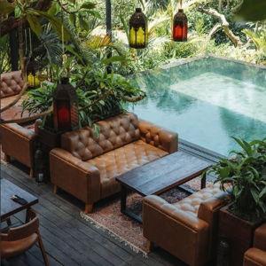 Dinner at Donna in Ubud
