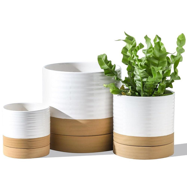 HASENSE Plant Pots, 8+6+4.6 Inch Ceramic Pots for Plants with Drainage Hole and Saucer, White Flower Planters Set of 3, Ideal for Gardening Home Desktop Office Decor