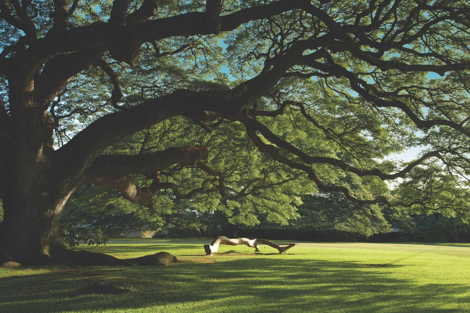 The Wedding Website of Madison Morita and Jeremy David