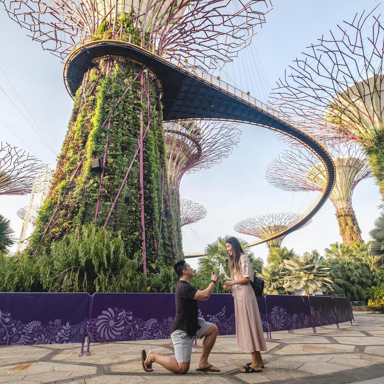 Myles proposing at Gardens by the Bay in Singapore