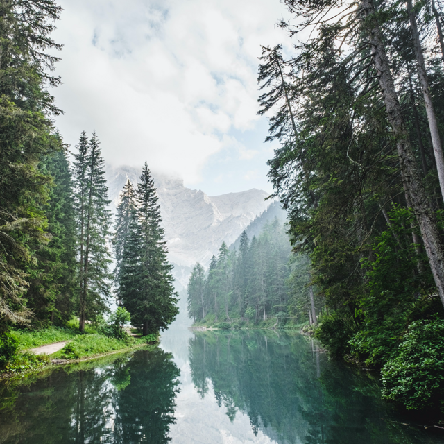 Donate to the Sierra Club Foundation