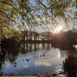 Stephenstown Pond