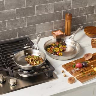 Motion Stainless Steel 2-Piece Fry Pan Set