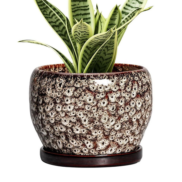 SQOWL Ceramic Plant Pots - 6 Inch Ceramic Planter for Indoor Outdoor, Small Flower Pots with Drainage Hole and Saucer, Decorative Round Planter, Home Office Decor, Plant Lover Gifts, White