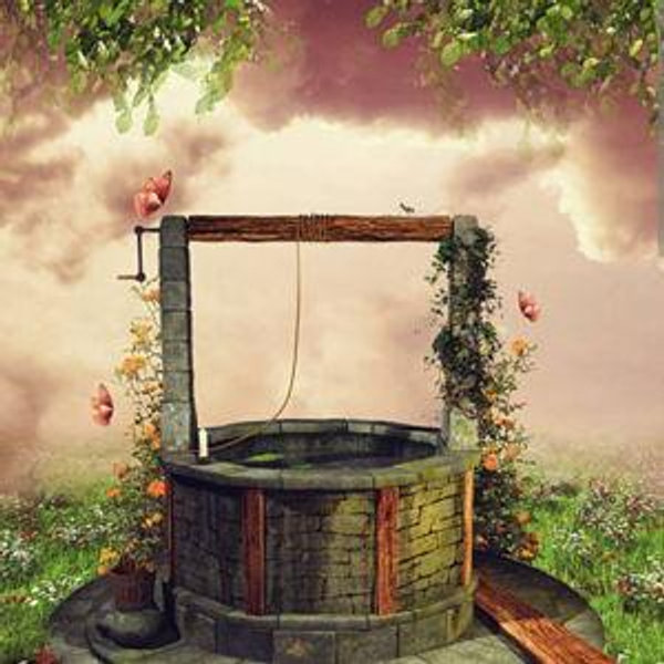 ✨️ Wishing Well ✨️