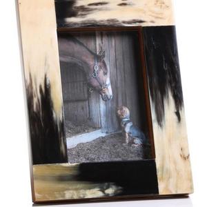 Horn Picture Frame