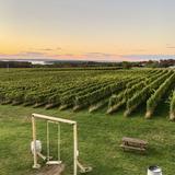Wineries on Old Mission Peninsula