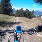 bike ride hire, oltreebike