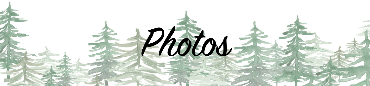 The Wedding Website of Alex Yu and Stuart Kenney