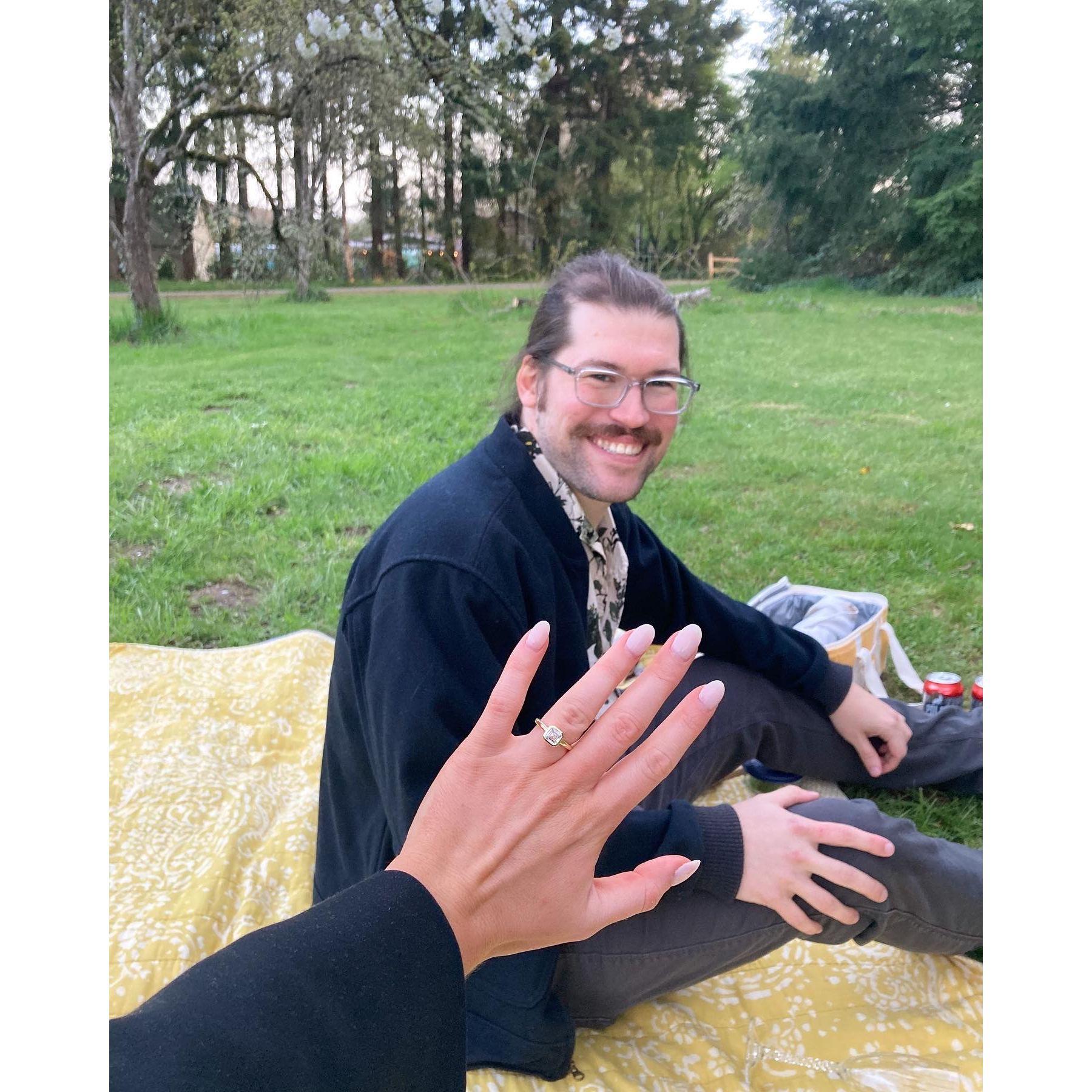 Engagement picnic, basking in the moment