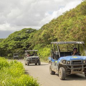 Kualoa Ranch Tour