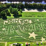 Mike's Maze