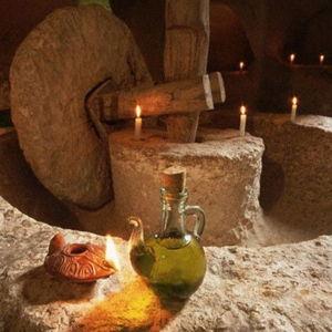 Picnic at an olive mill