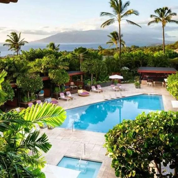 Maui Honeymoon Fund
