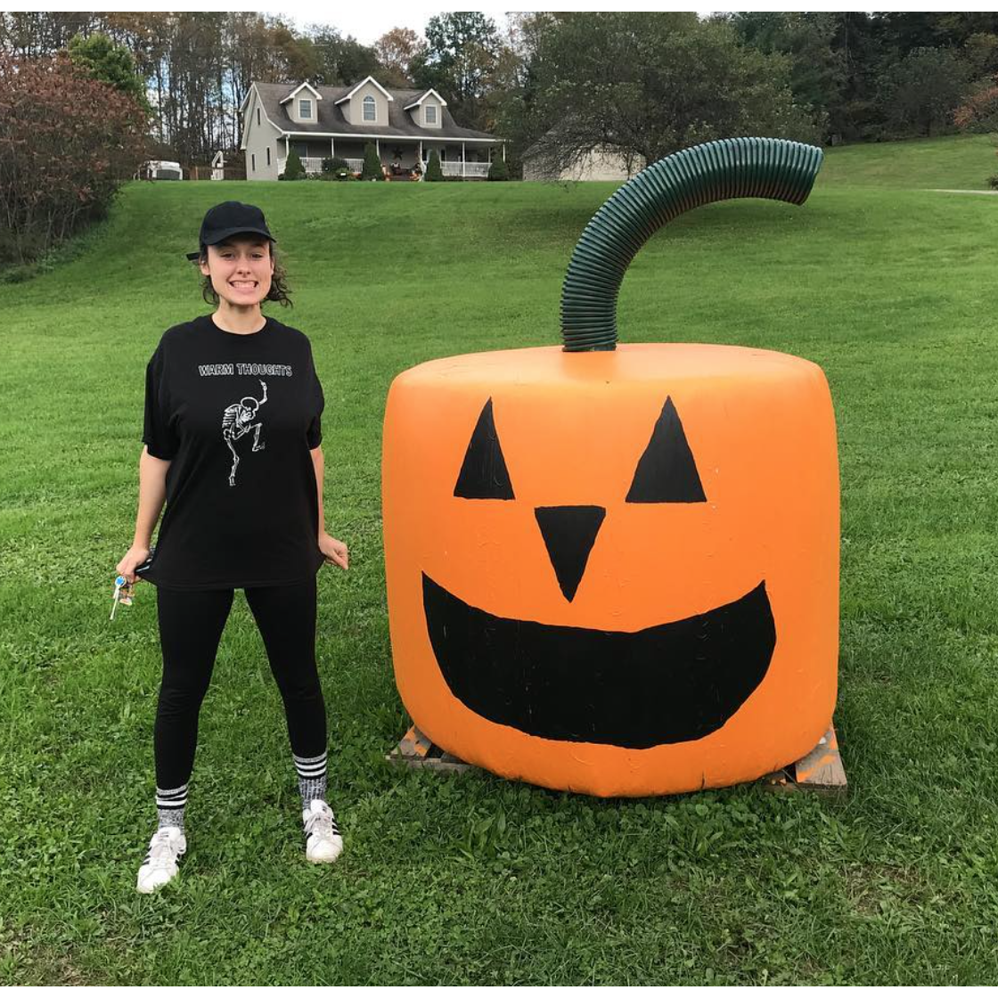 A day of pumpkin hunting down Danby Rd.