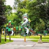 Forest Park