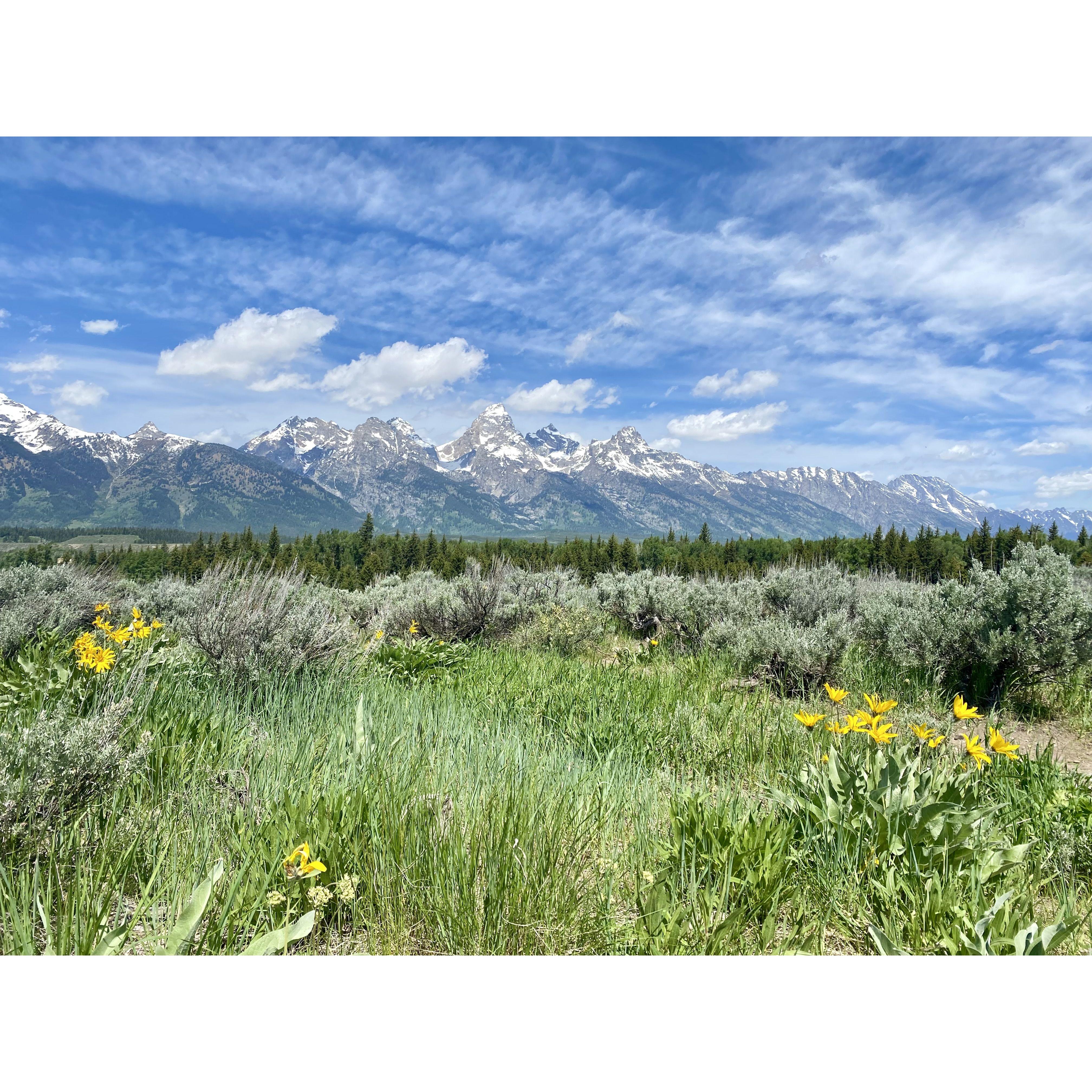 Grand Teton National Park