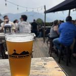 Breweries & Bars