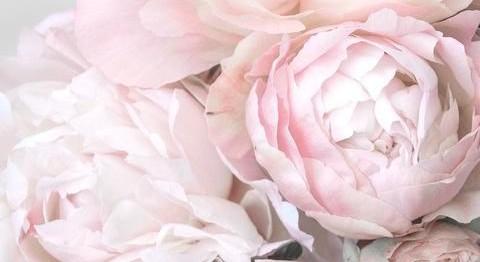 The Wedding Website of Karina Osorio and Gabriel Santos