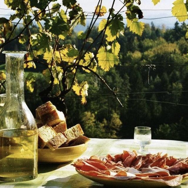 Romantic Picnic in Tuscan Olive Groves