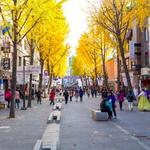 Insadong Street, Seoul