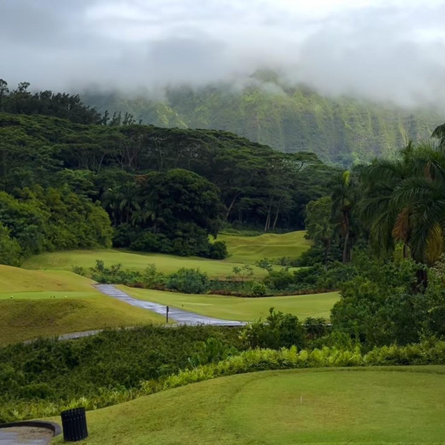 A round of golf on our honeymoon!