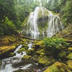 Proxy Falls Trailhead
