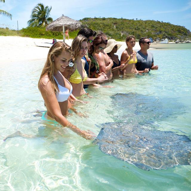Feed The Wild Stingrays