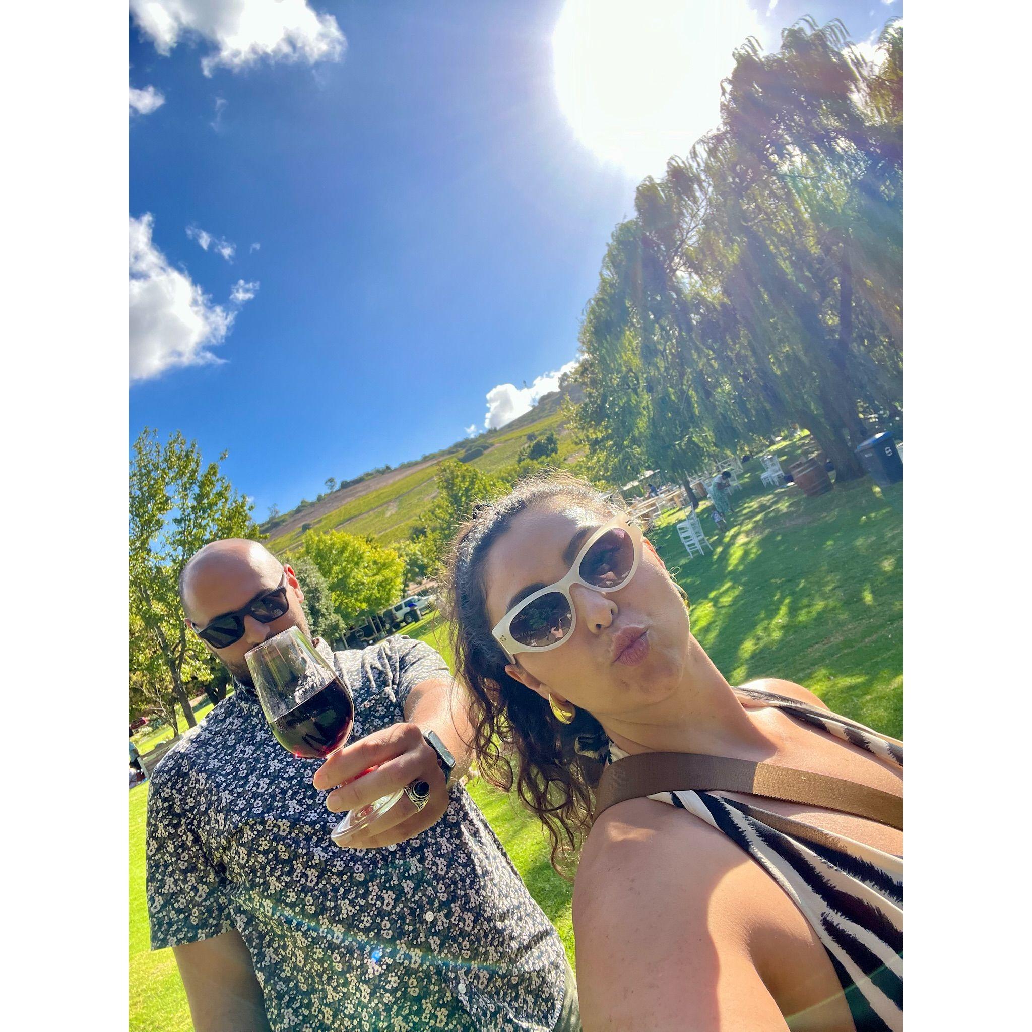 Wine Country in Cape Town South Africa