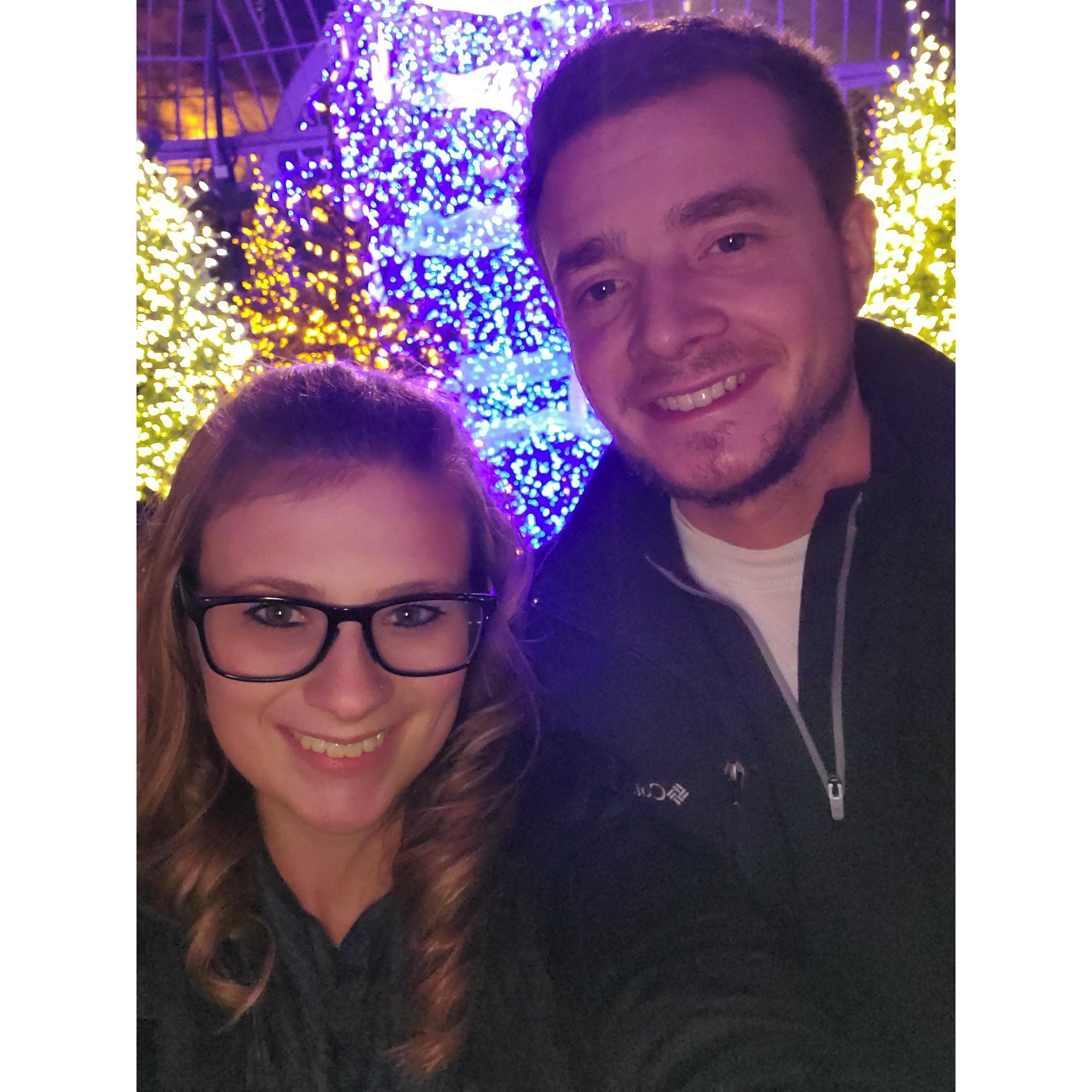 Christmas lights!