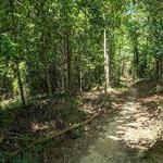 Holston Creek Park