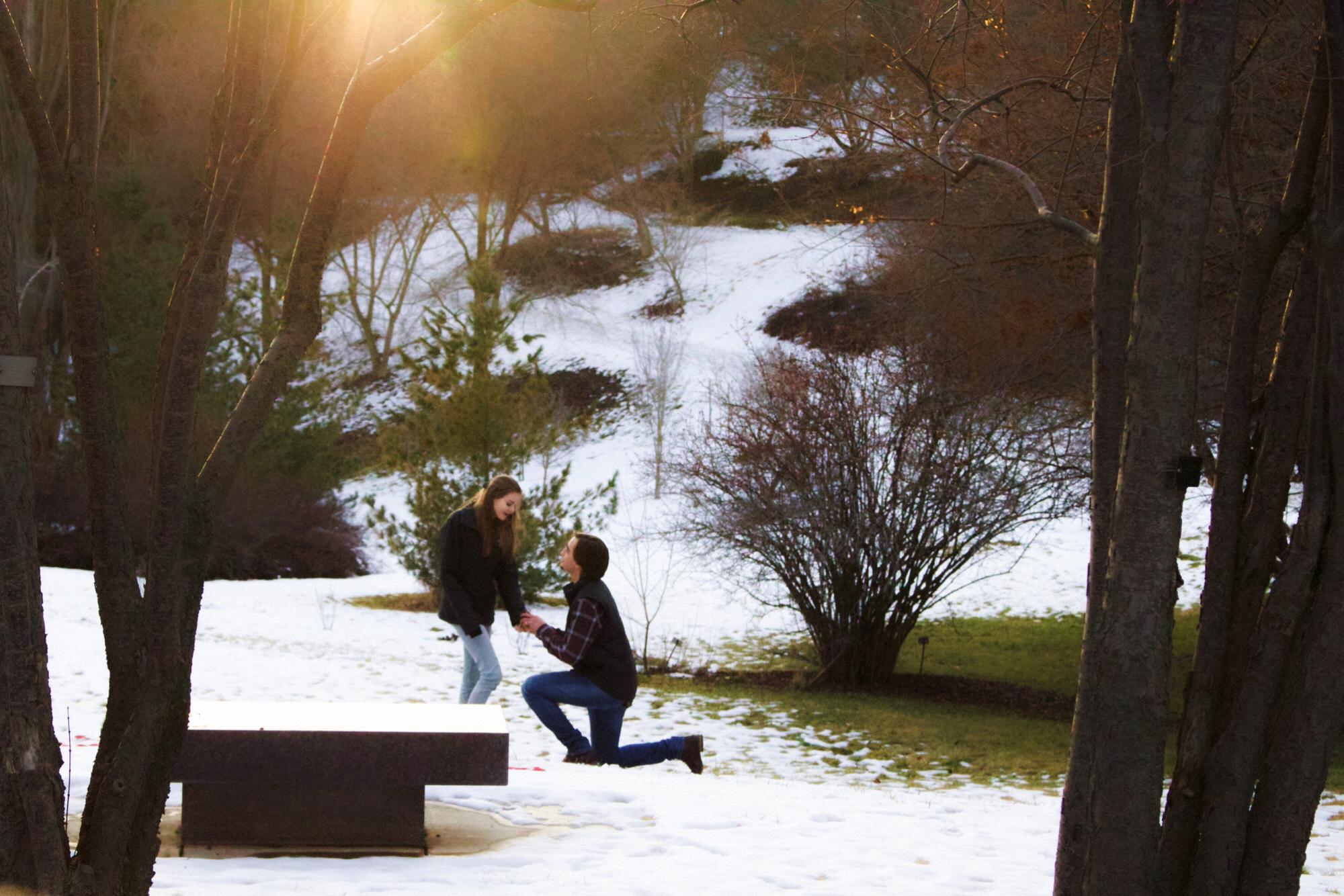 Our Proposal. January of 2019