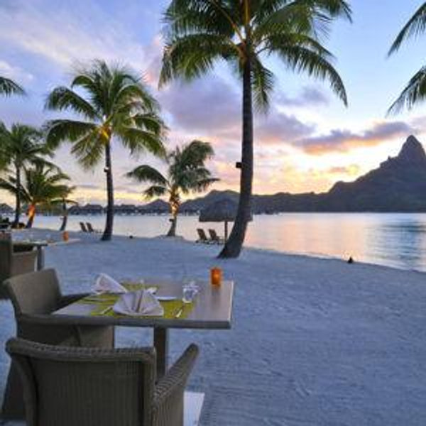 Honeymoon Dinner