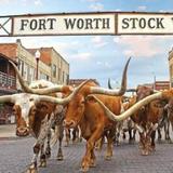 Fort Worth Stockyards