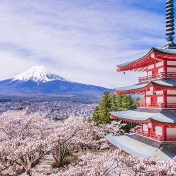 Japan Honeymoon Fund