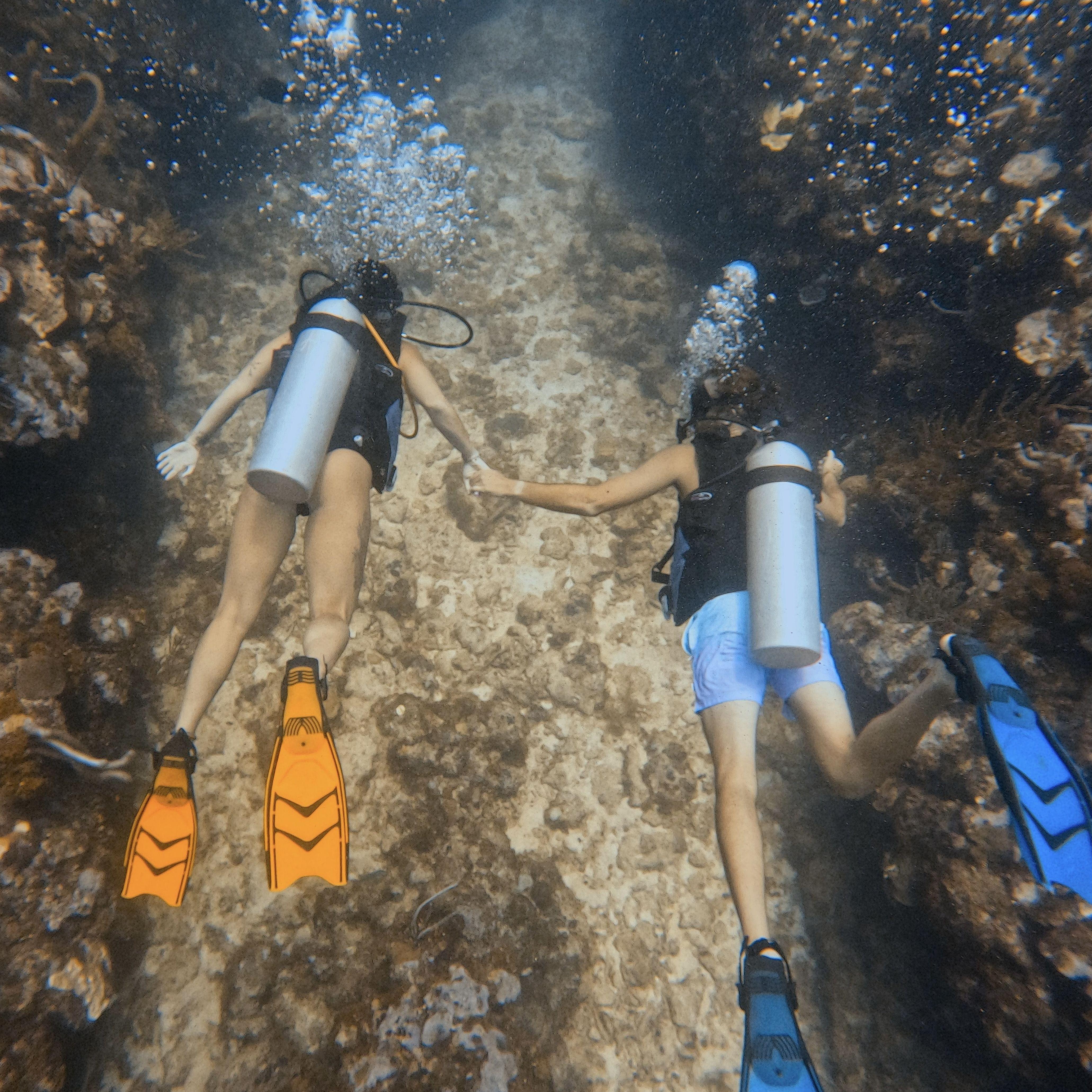 We even got certified in open water scuba diving in Belize!!!