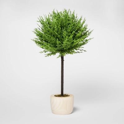 19" x 10" Artificial Cypress Arrangement in Wooden Pot Green/Natural - Threshold™