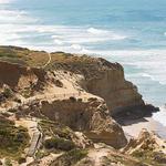 Torrey Pines State Reserve