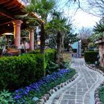 Joe T. Garcia's