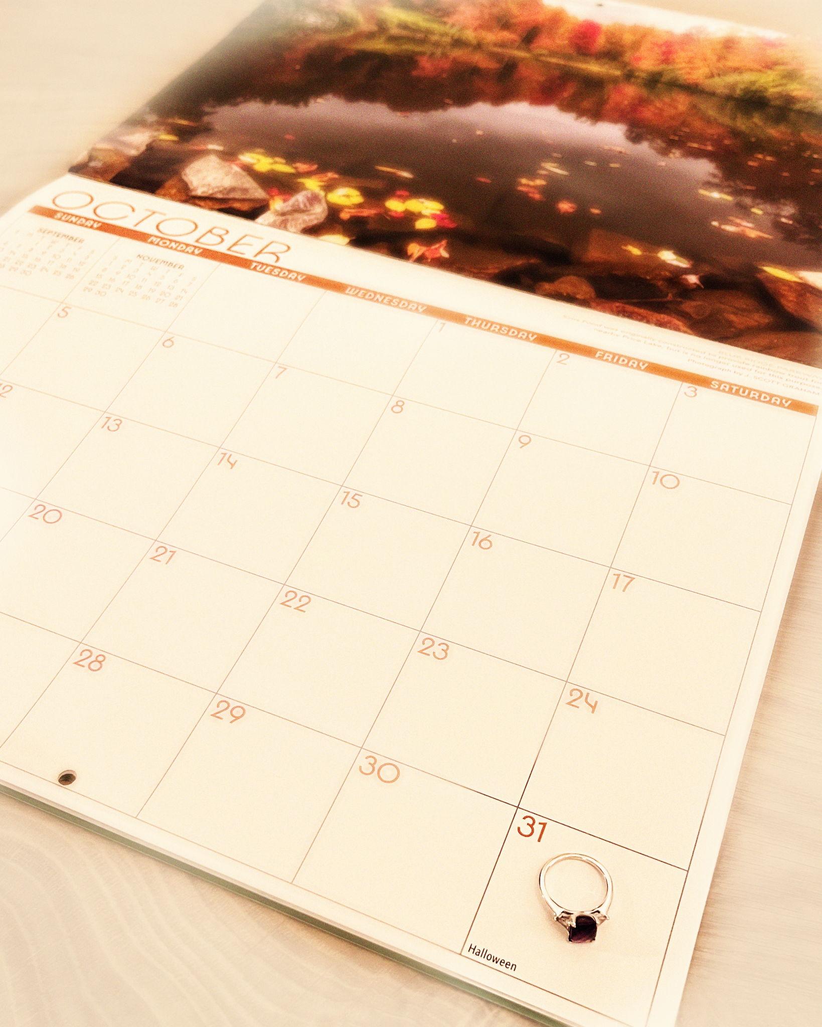 The Wedding Website of David Huber and Abby Gallegos