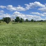 United States National Arboretum
