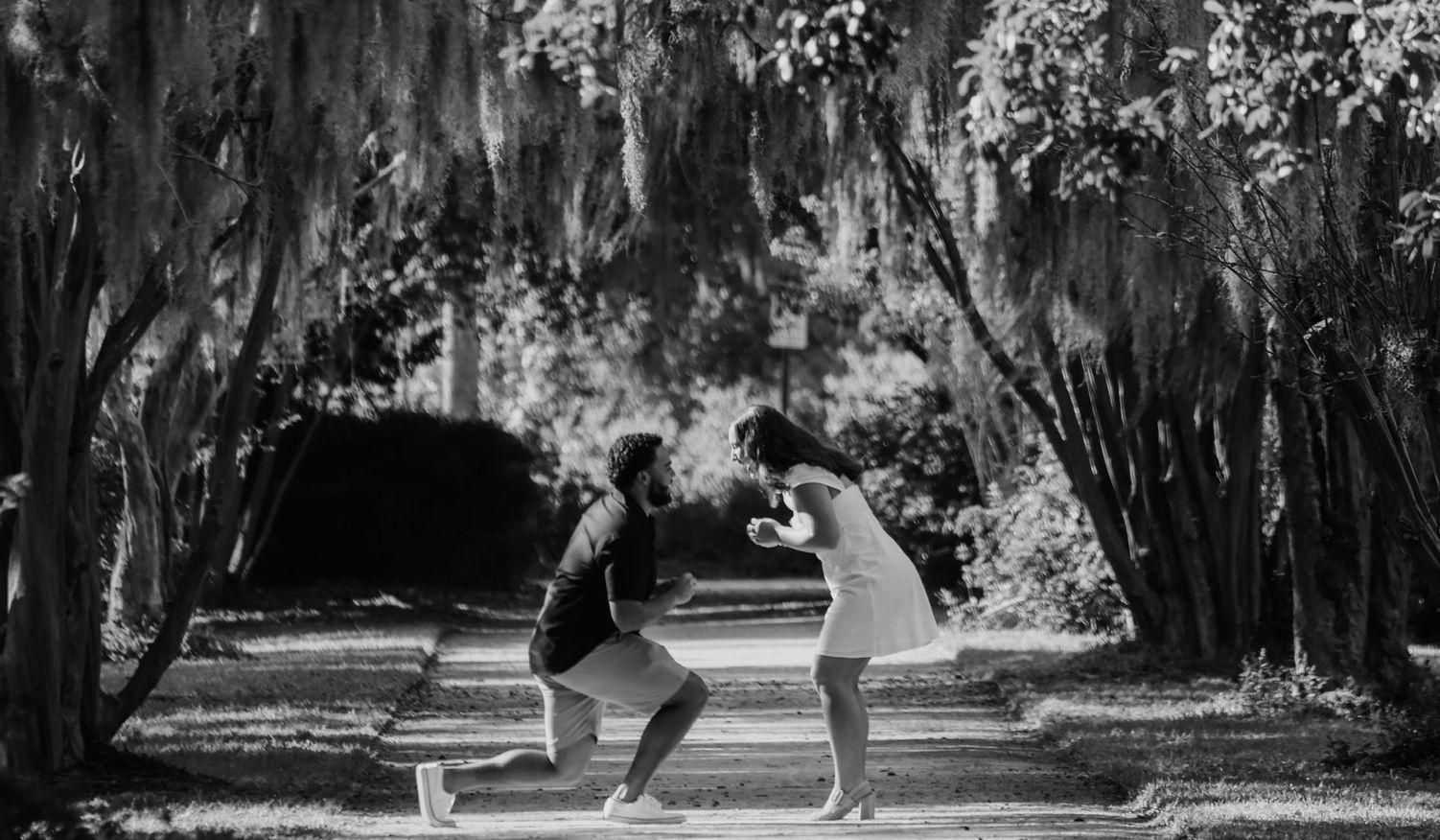 Hero Slideshow Image 0