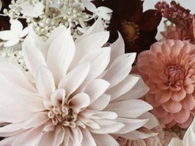 The Wedding Website of Amanda padilla and Nicholas nuno