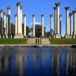 United States National Arboretum