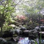 Massee Lane Gardens