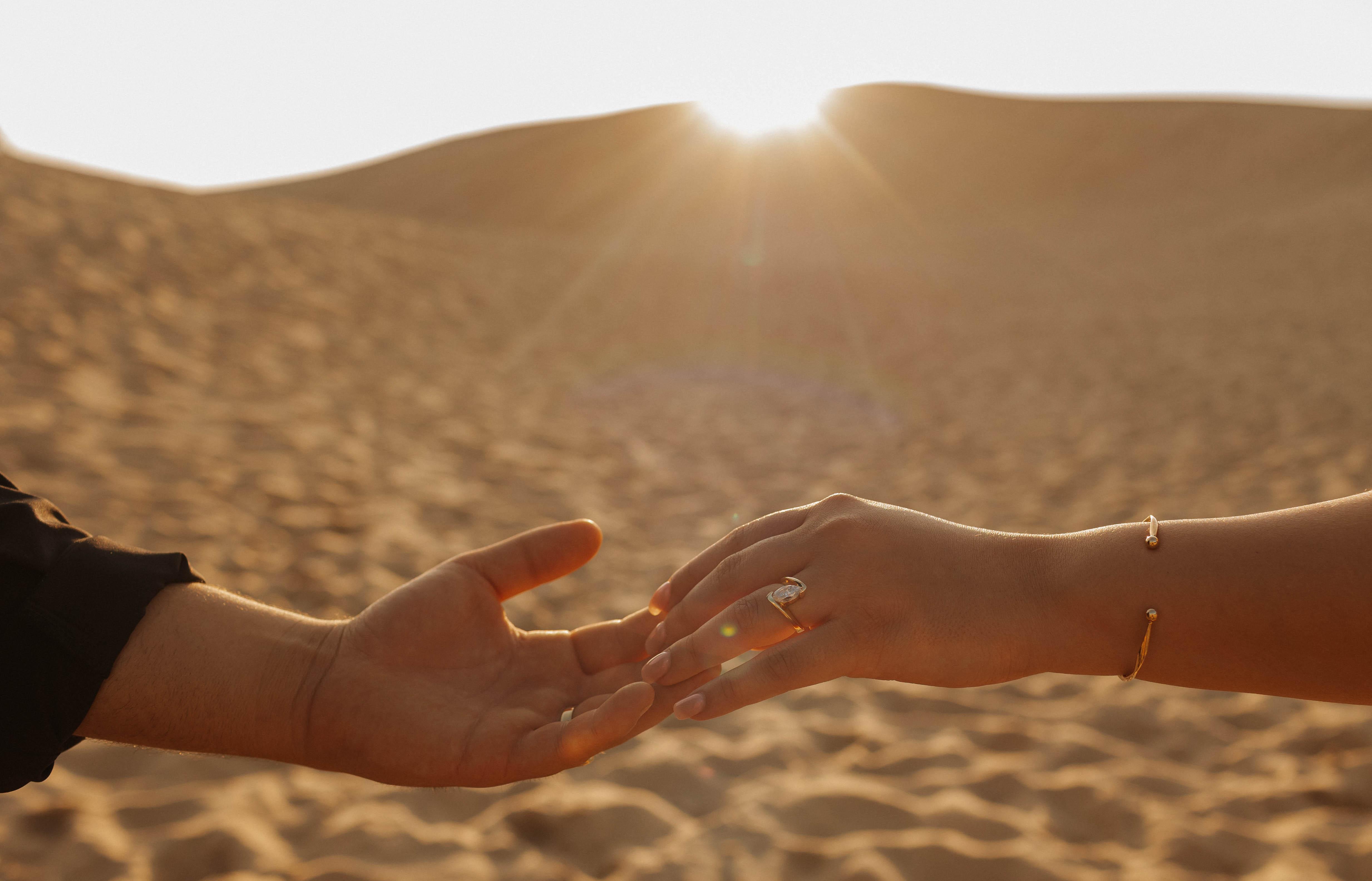 The Wedding Website of Shams Yaldo and Anthony Morolli