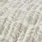 Sand Chrysanthemum