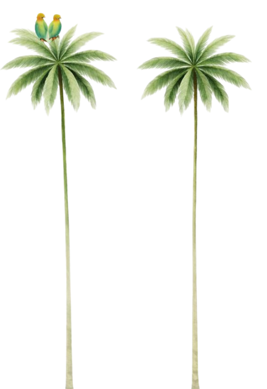 The Wedding Website of Veronica Bersh and Ernesto Sayer